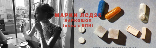 ГАЛЛЮЦИНОГЕННЫЕ ГРИБЫ Алексин