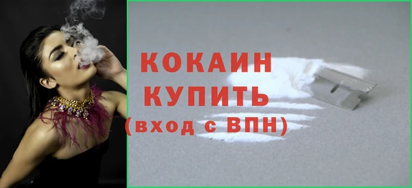 спиды Новозыбков