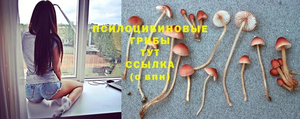 сатива Алексеевка