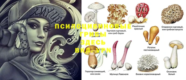 ГАЛЛЮЦИНОГЕННЫЕ ГРИБЫ Алексин