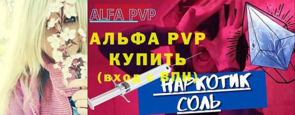 спиды Новозыбков