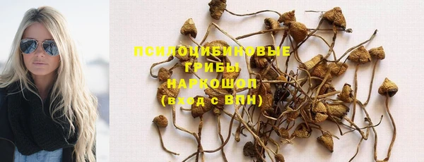 ГАЛЛЮЦИНОГЕННЫЕ ГРИБЫ Алексин