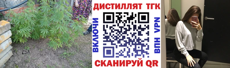 ТГК Wax  Сосновоборск 