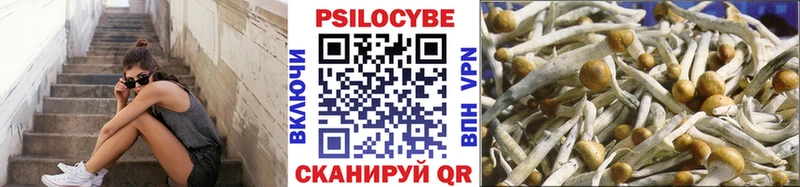 OMG вход  Сосновоборск  Псилоцибиновые грибы MAGIC MUSHROOMS  купить наркотики цена 